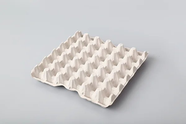 对辊式蛋托生产线插图6 Egg-Tary-03.webp