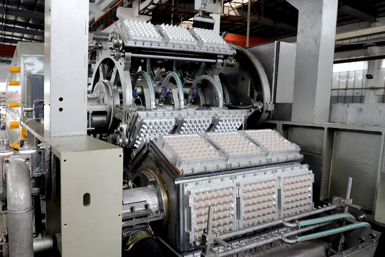 对辊式蛋托生产线插图14