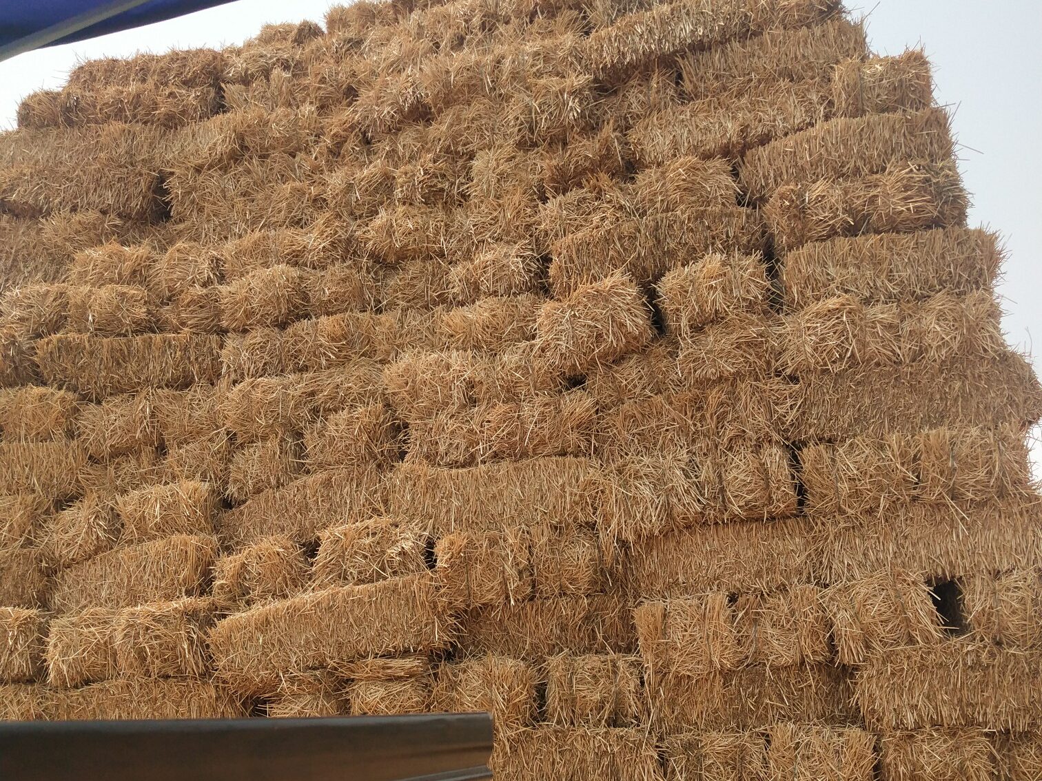 常见的MK·体育(中国)官方网站原料特点分析插图2 常见的MK·体育(中国)官方网站原料特点分析插图2