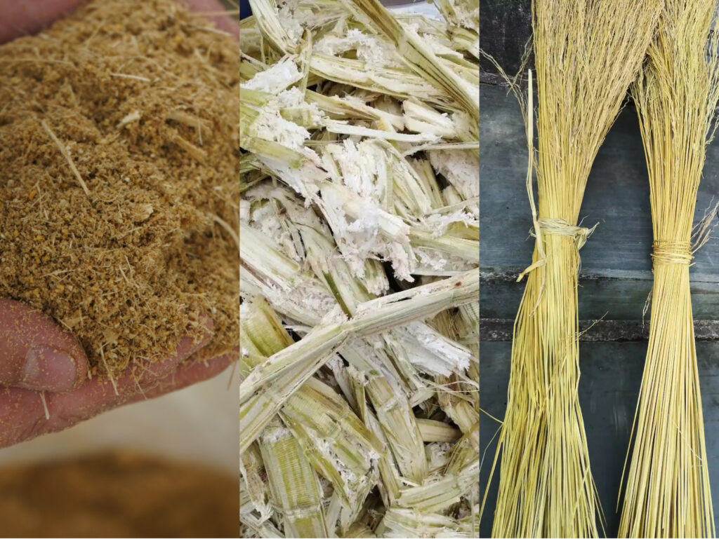 MK·体育(中国)官方网站制品真的环保吗?从原料到降解的全生命周期分析插图 MK·体育(中国)官方网站制品真的环保吗?从原料到降解的全生命周期分析插图