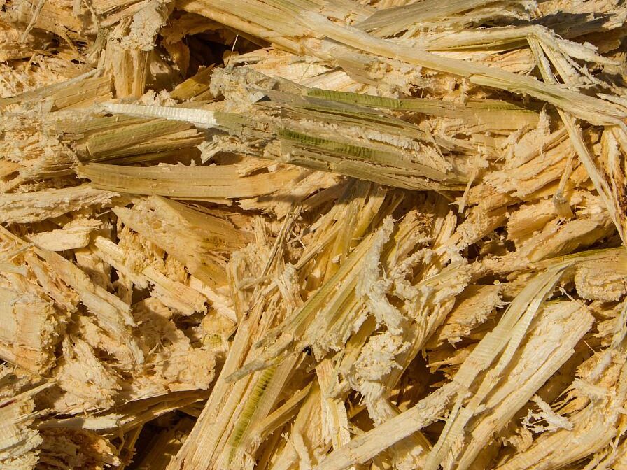 常见的MK·体育(中国)官方网站原料特点分析插图1 常见的MK·体育(中国)官方网站原料特点分析插图1