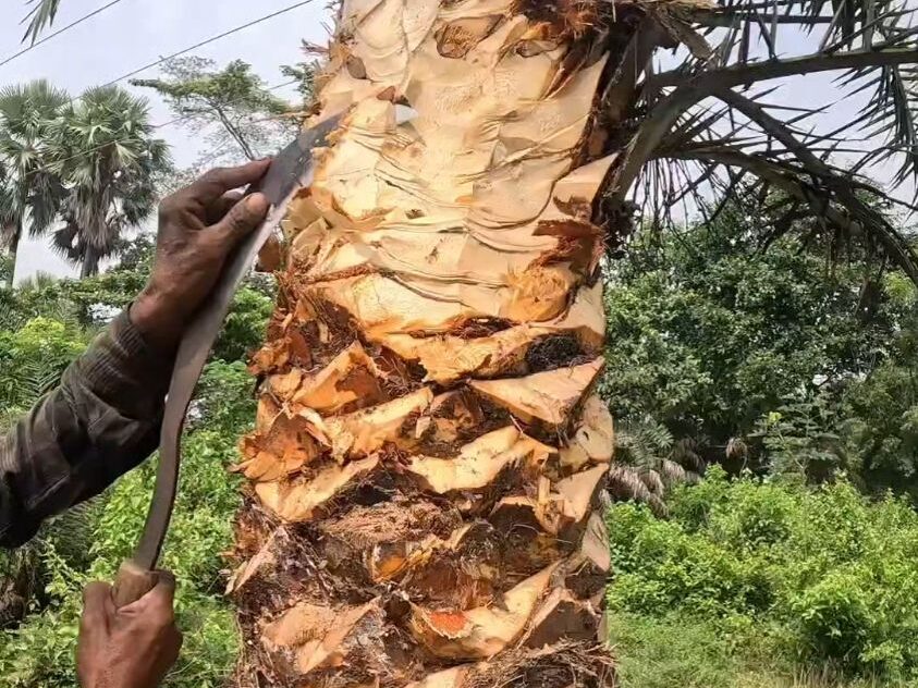 常见的MK·体育(中国)官方网站原料特点分析插图5 常见的MK·体育(中国)官方网站原料特点分析插图5