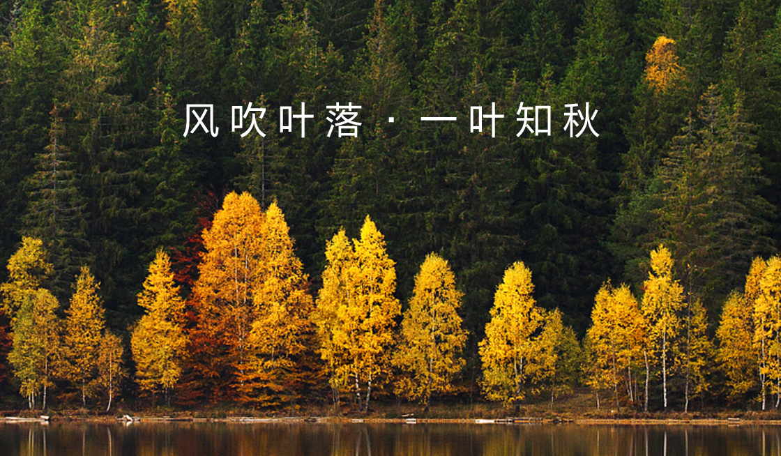 新闻资讯插图3 新闻资讯插图3