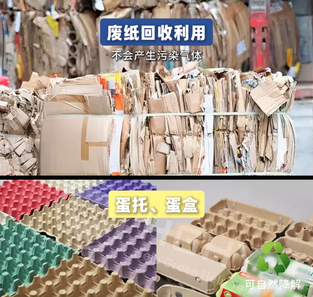 2025 年MK·体育(中国)官方网站迎爆发期!政策 + 市场双轮驱动,绿色包装成产业新引擎插图4 2025 年MK·体育(中国)官方网站迎爆发期!政策 + 市场双轮驱动,绿色包装成产业新引擎插图4