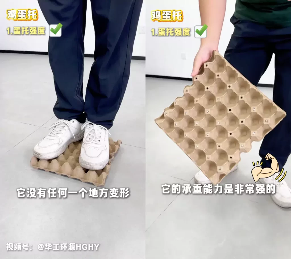 工艺赋能品质:MK·体育(中国)官方网站鸡蛋托的场景化革新插图2 工艺赋能品质:MK·体育(中国)官方网站鸡蛋托的场景化革新插图2