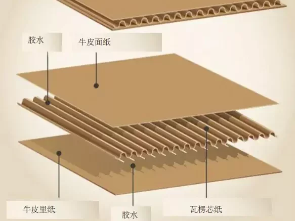 3分钟读懂MK·体育(中国)官方网站!与瓦楞纸箱的优劣对决插图3 3分钟读懂MK·体育(中国)官方网站!与瓦楞纸箱的优劣对决插图3
