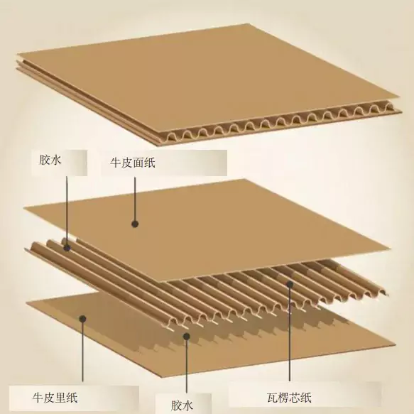 3分钟读懂MK·体育(中国)官方网站!与瓦楞纸箱的优劣对决插图1 3分钟读懂MK·体育(中国)官方网站!与瓦楞纸箱的优劣对决插图1