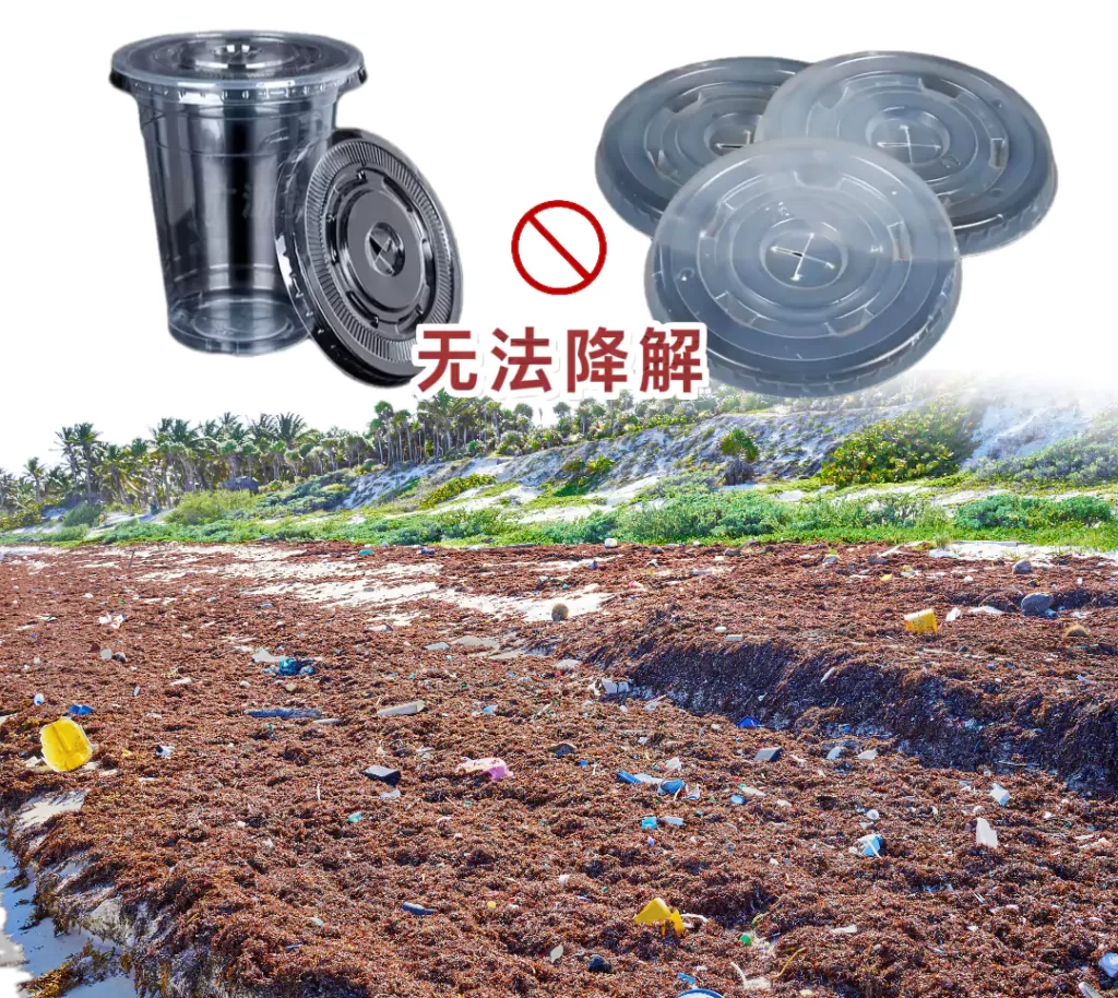 杯盖选对不踩坑!MK·体育(中国)官方网站VS塑料,环保与实用双赢才是王道插图 杯盖选对不踩坑!MK·体育(中国)官方网站VS塑料,环保与实用双赢才是王道插图